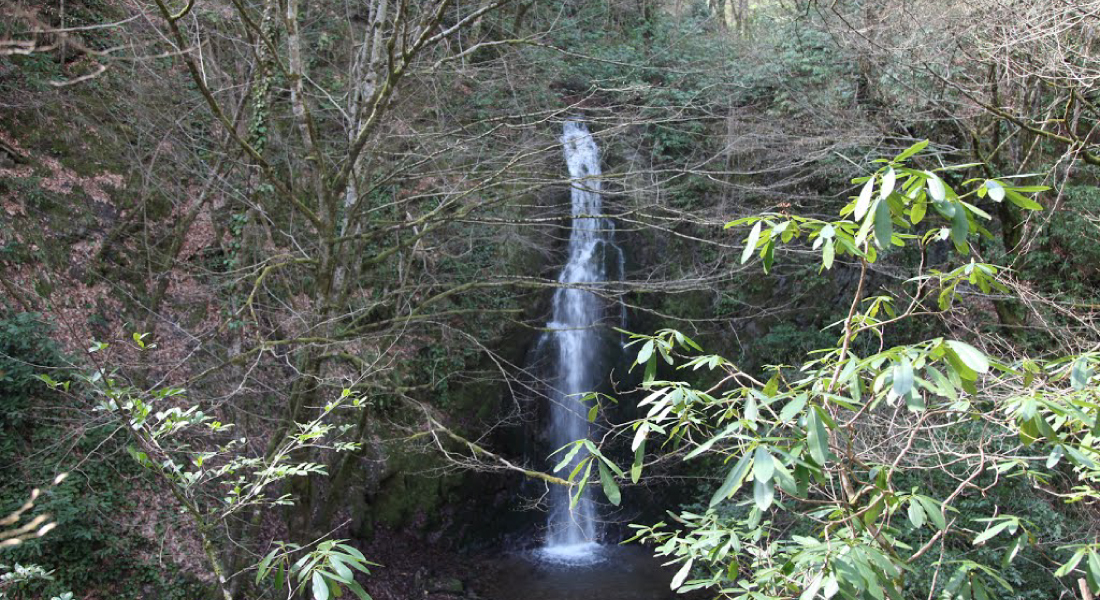 WATER SUPPLY NETWORK DESIGN PROJECT OF ULUDERE